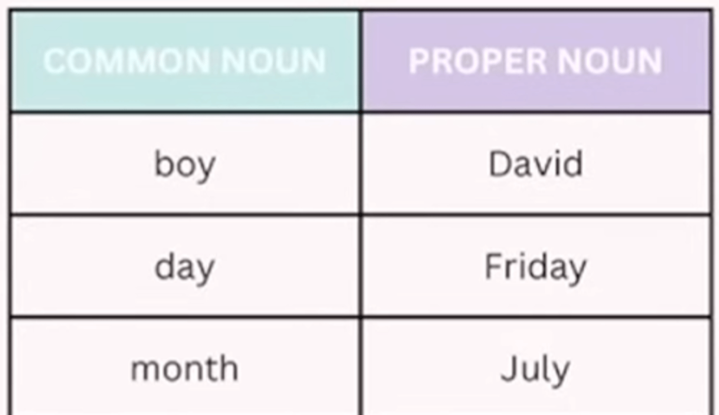 <p>Capitalize proper nouns, not common nouns (unless it starts a sentence).</p><p>EXAMPLES:</p><p>- He is a boy. His name is David.</p><p>- The best day of the week is Friday.</p><p>- My favorite month of the year is July.</p><p>- Canada is a country known for its natural beauty.</p><p>- New York is a city that never sleeps.</p><p>- The Atlantic Ocean is a vast ocean between the Americas and Europe.</p>