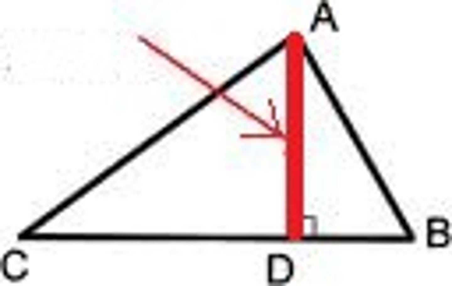 <p>A line segment that connects the vertex of a triangle to the opposite side of the triangle and is perpendicular to that side</p>
