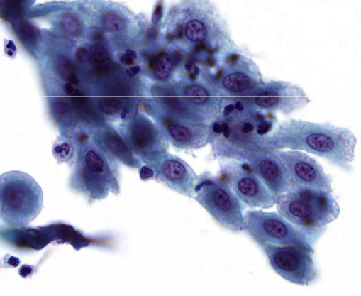 <p>describe features</p>