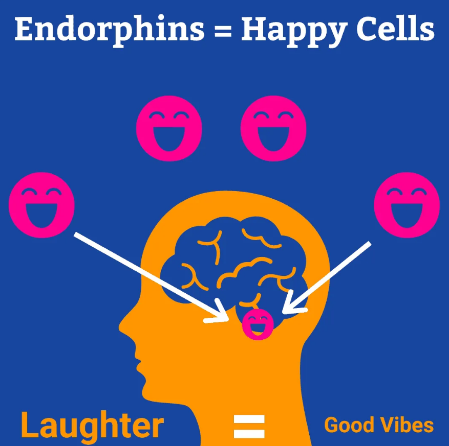 natural, opiate-like neurotransmitters linked to pain control and pleasure (82)