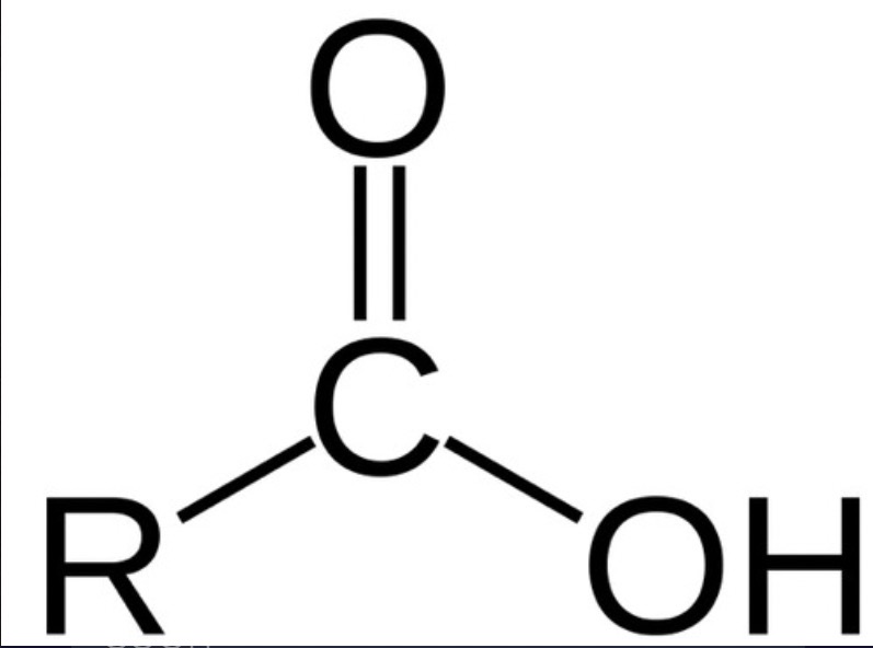 <p>acyl group (carbonyl group)</p>