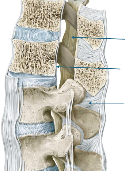 <p>top to bottom </p>