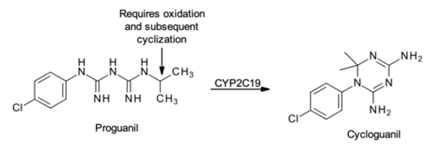 <p>Proguenil Drug Interactions </p><p>-will have a drug interaction with any other drug that inhibits CYP___ because this will block the conversion/activation of proguanil to cycloguanil</p>