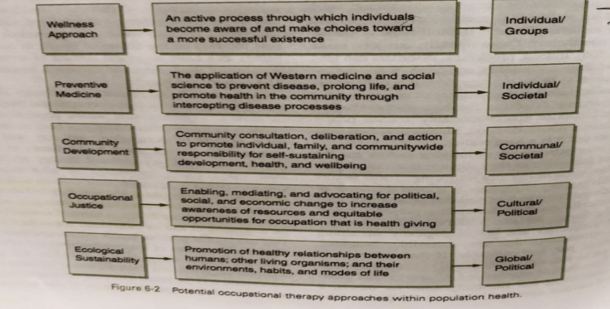 * Wellness approach 
* Preventative Medicine
* Community Development 
*  Occupational Justice 
* Ecological Sustainability 