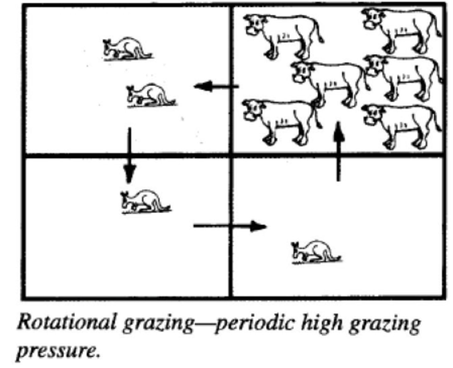 <p>The regular rotation of livestock between different pastures in order to avoid overgrazing in a particular area.</p>