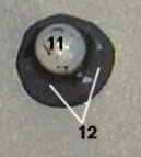 <p>11</p>