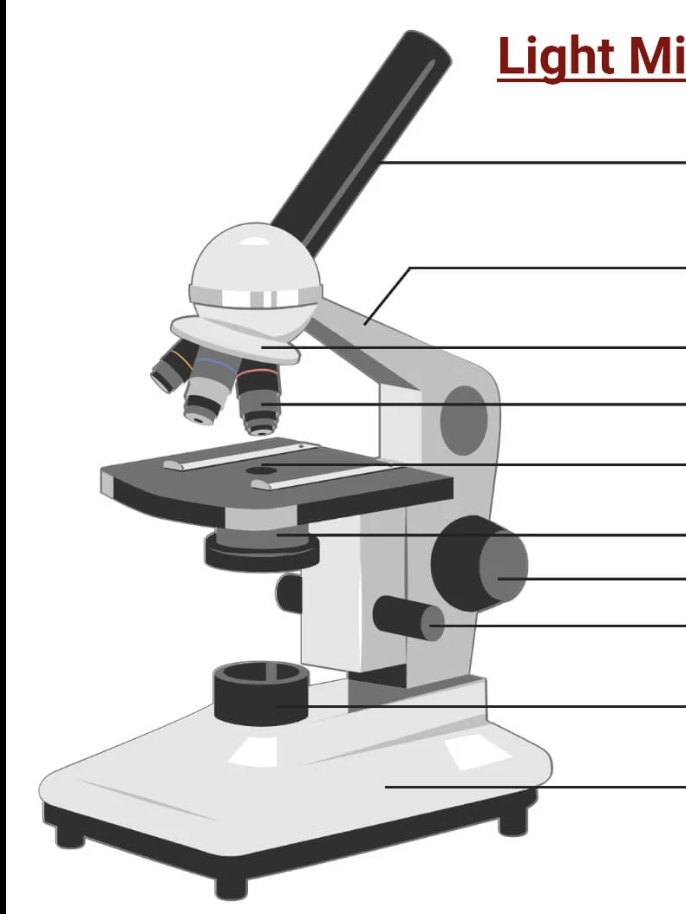 <p>label this microscope</p>