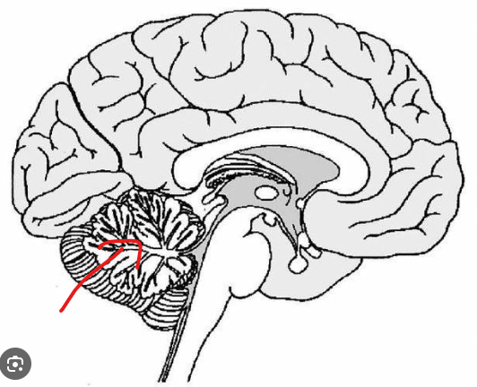 <p>What is the part in the diagram called?</p>