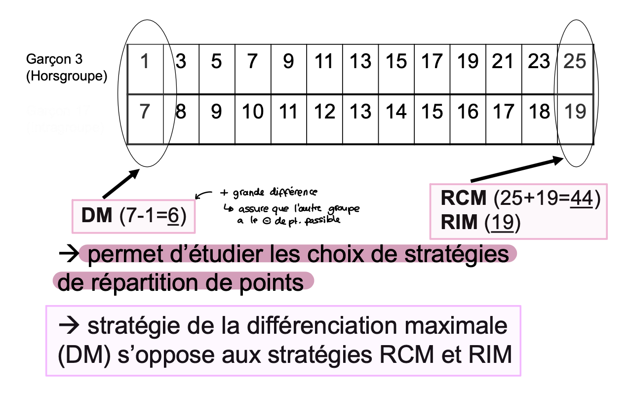 <p>→ un tableau qui montre comment les points peuvent être distribués de manière différente entre les membres de chaque groupe, afin de maximiser les avantages pour l’intragroupe. </p>