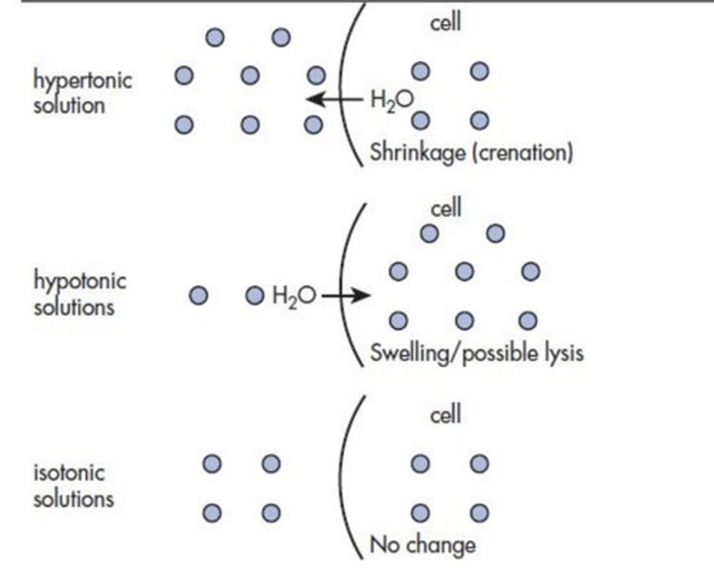 <p>A solution that has the same osmotic pressure as another solution, typically physiological saline (0.9% w/v NaCl).</p>
