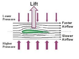 <ul><li><p>shape has a curved upper surface and flat underneath surface.</p></li><li><p></p></li></ul>