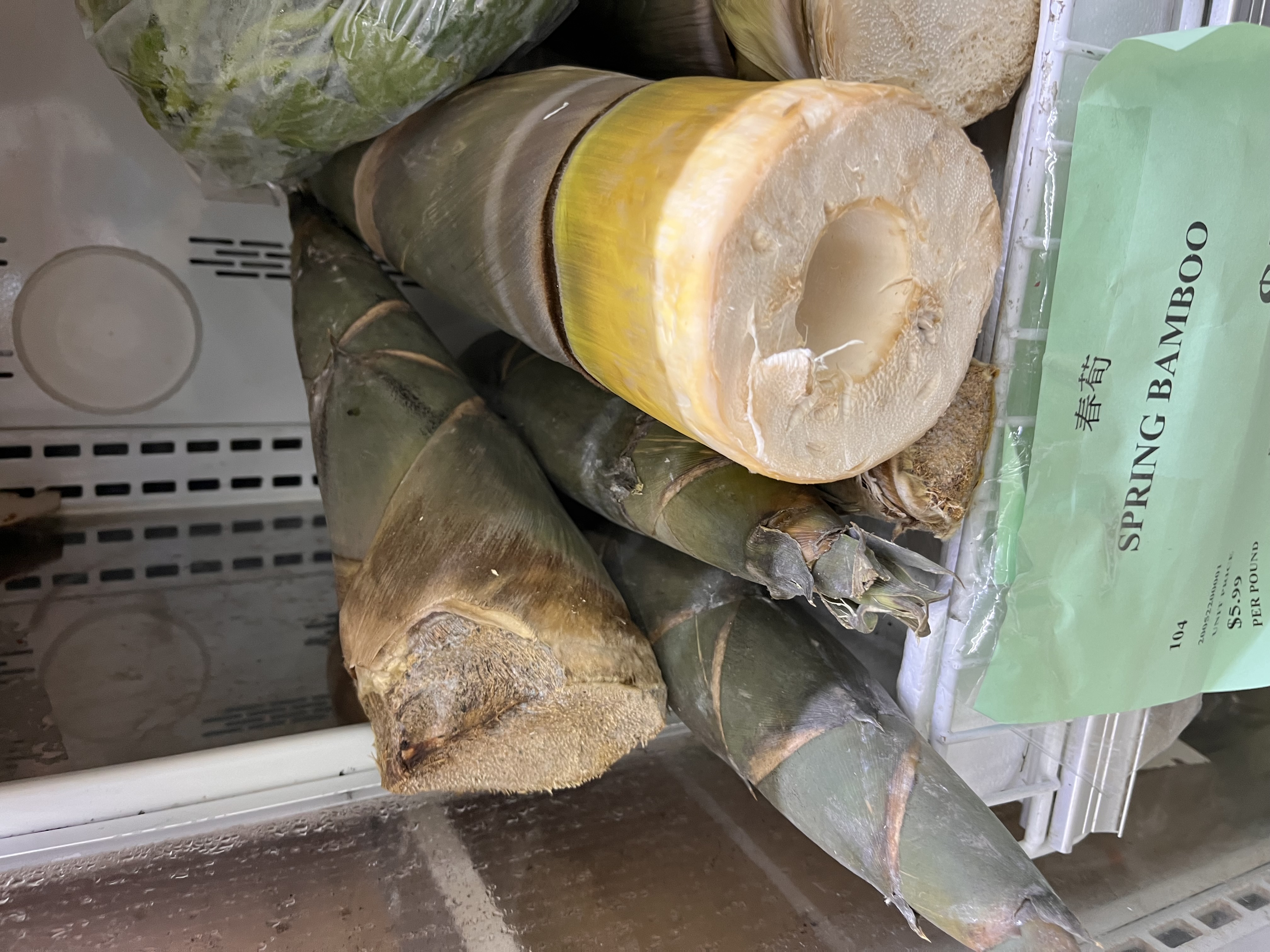 <p>FRESH BAMBOO SHOOT</p>