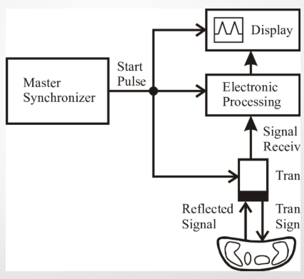<p>(1) master synchronizer</p><p>(2) transducer</p><p>(3) transmitter</p><p>(4) pulser/beamformer</p><p>(5) receiver</p><p>(6) scan converter/memory</p><p>(7) display</p><p>(8) storage</p>