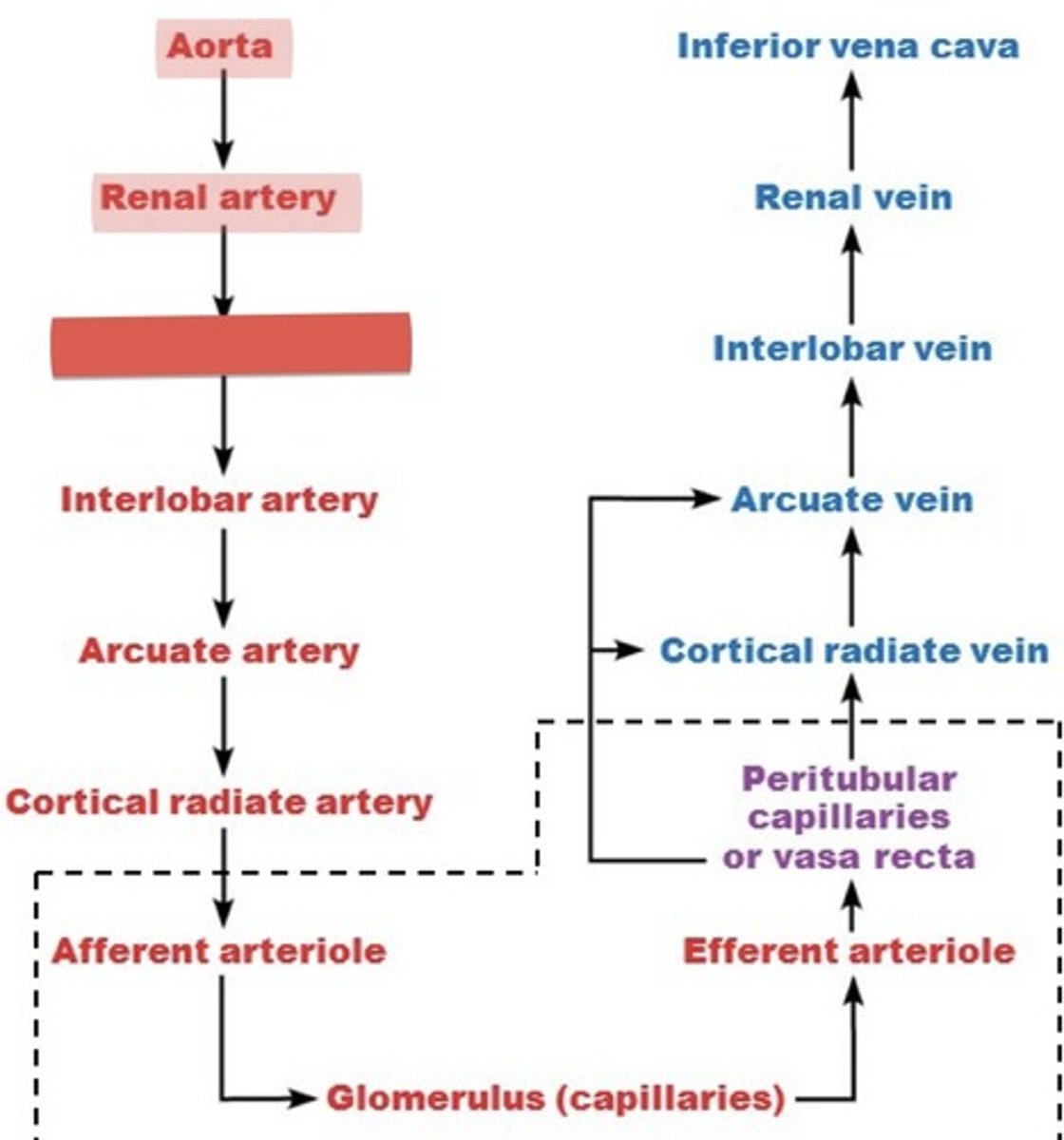<p>What is this?</p>