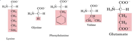 <p>which of the following amino acids does not have D- and L- stereoisomers?</p>