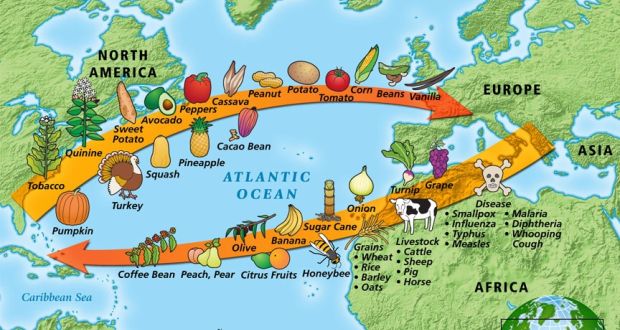 <p>The Columbian Exchange</p>