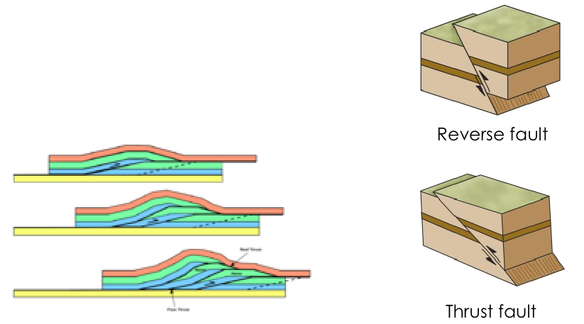 <ul><li><p><em>Formed:&nbsp;</em>convergent plate boundaries where plates are pushed together against gravity</p><ul><li><p>Involve large-scale compressional faults called thrust faults</p></li><li><p>series of these faults creates an overthrust belt, stacking slices of crust over one another</p></li></ul></li></ul><p></p>