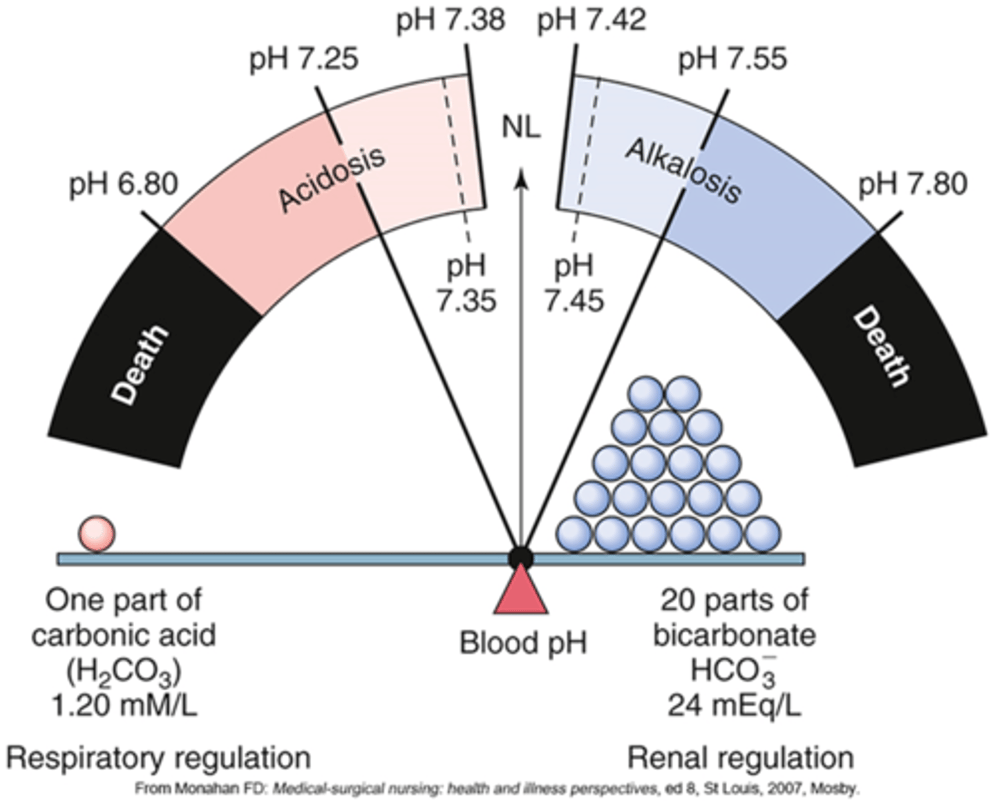 <p>Body acids exist in 2 forms</p><p>- Volatile</p><p>- Nonvolatile</p><p>Acids are by-products</p><p>Normal serum pH: 7.35-7.45</p><p>- Decrease pH = acidosis</p><p>- Increase pH = alkalosis</p><p>Regulated by:</p><p>- Chemical buffer systems</p><p>- Lungs</p><p>- Kidneys</p><p>- Hydrogen ion excretion or absorption</p>