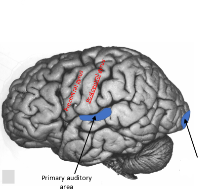<p>what is this area called?</p>