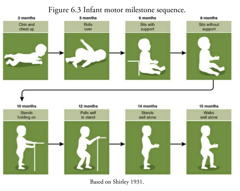 <ol><li><p>2 months : chin and chest up</p></li><li><p>5 months : rolls over </p></li><li><p>6 months: sits with support </p></li><li><p>8 months: sits without support </p></li><li><p>10 months: stands holding on </p></li><li><p>12 months: pulls self to stand </p></li><li><p>14 months: stands well alone</p></li><li><p>15 months: walks well alone </p></li></ol>