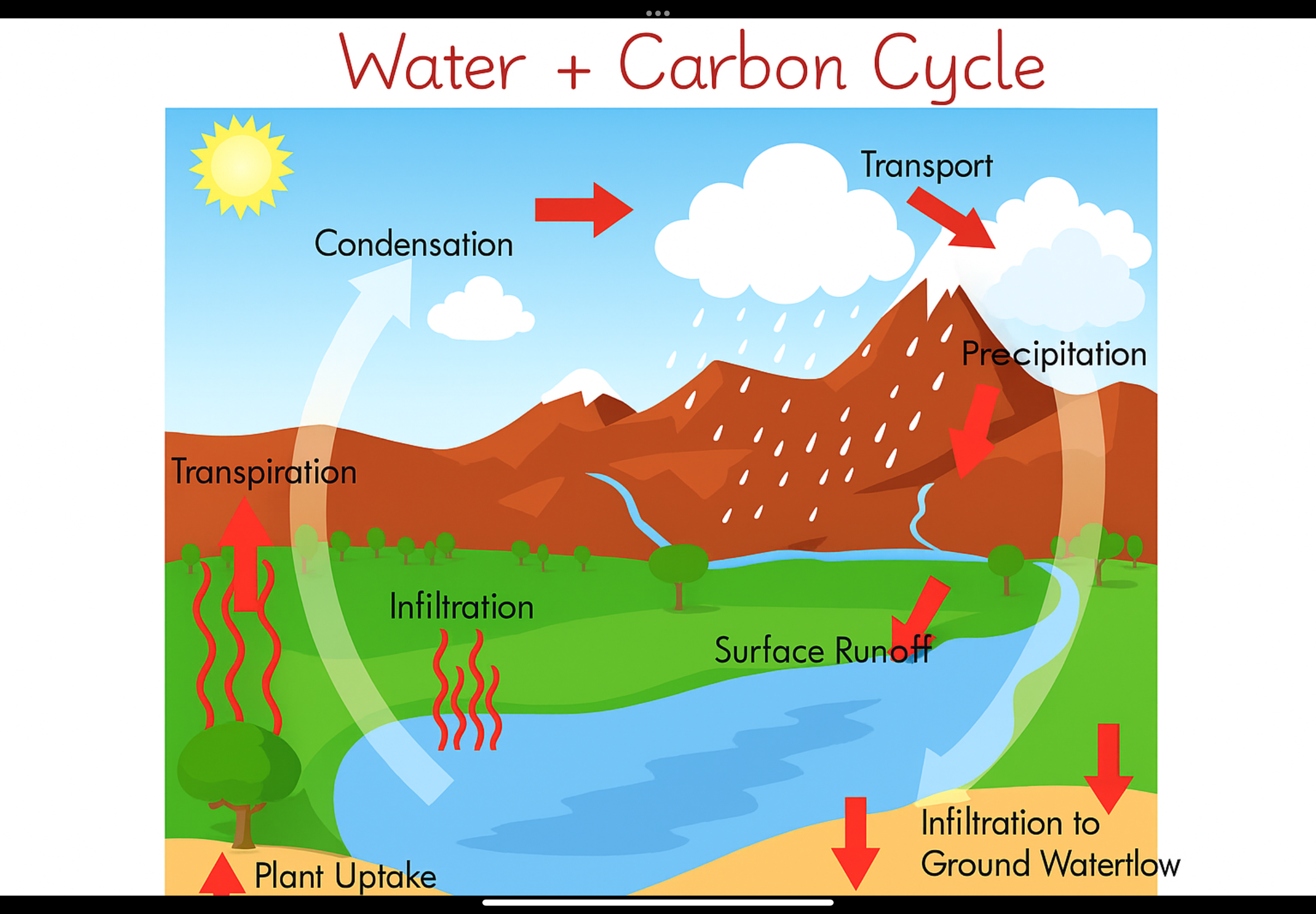 <p>Water cycle </p>