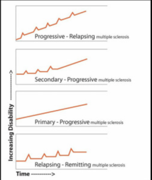 <ol><li><p>Relapsing-Remitting MS (85%—can transition to…)</p></li><li><p>Secondary Progressive MS</p></li><li><p>Primary Progressive (10%)</p></li><li><p>Progressive-Relapsing (5%)</p></li></ol><p></p>