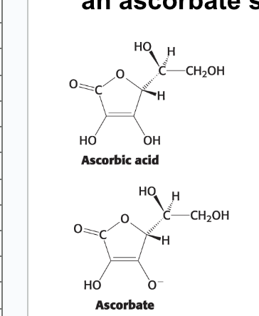 <p>“improved” vitamin C supplements = often an ascorbate salt</p>