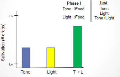 <p>If two separate stimuli are conditioned separately to elicit the same CR, the intensity of the response will double (summate) when the two stimuli are presented together</p>