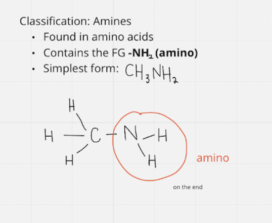<ul><li><p>fg: -NH2 ~ amino</p></li><li><p>simplest = CH3NH2</p></li></ul>