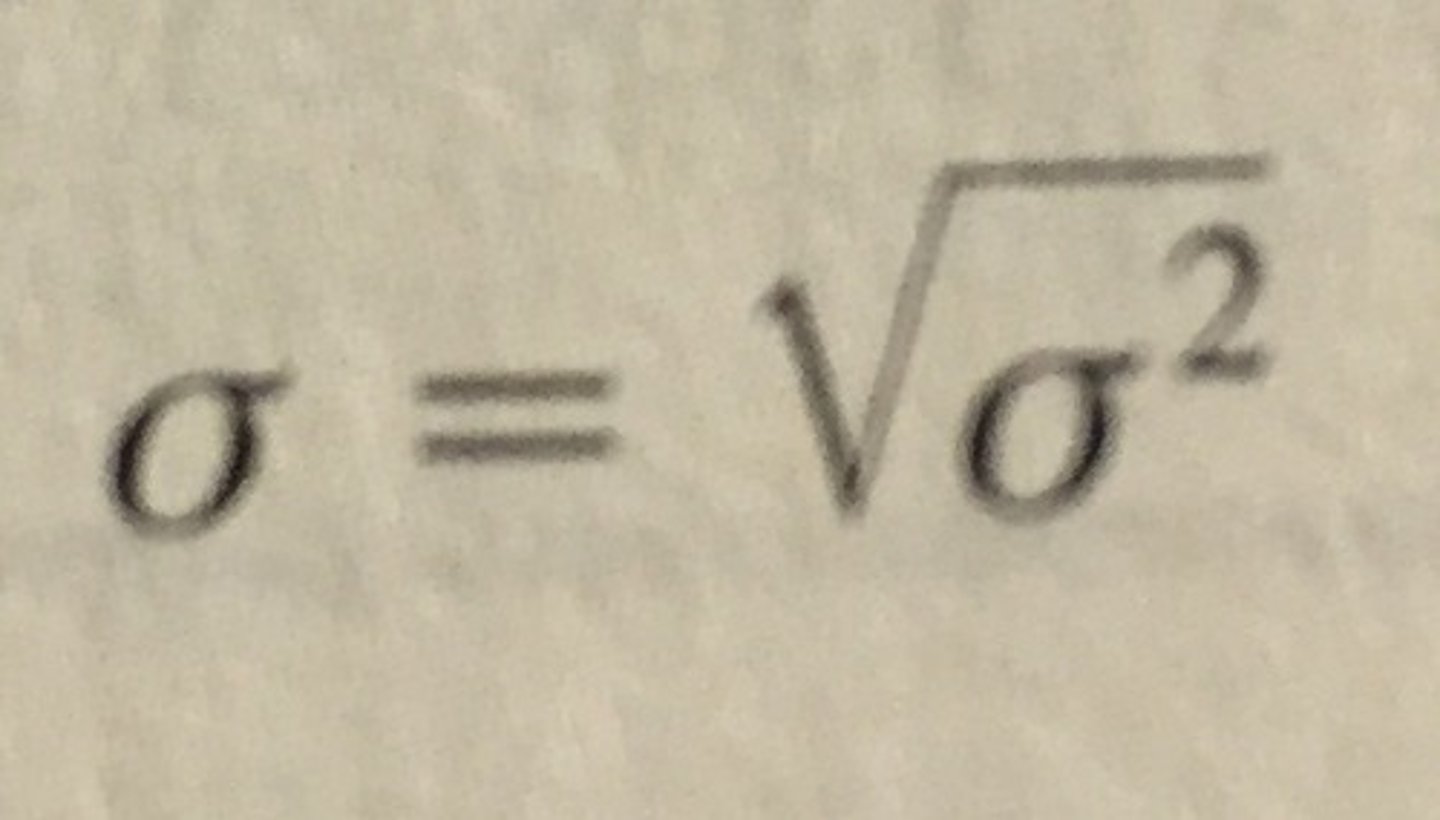 <p>the square root of the population variance</p>