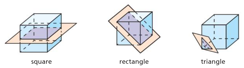 <p>intersection of the plane &amp; the solid it slices through</p>