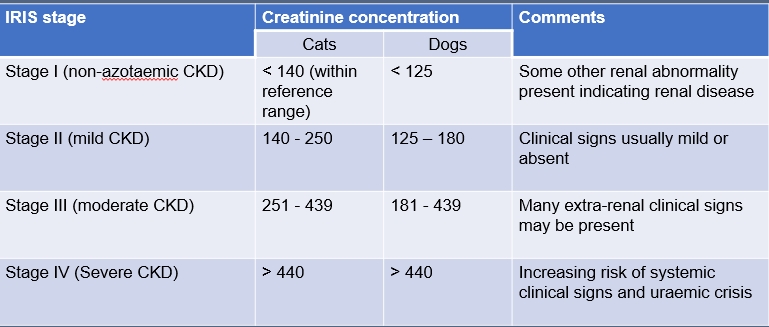 Important, as it allows monitoring of disease progression and formation of treatment protocols according to stage; it also provides prognostic evaluation.
