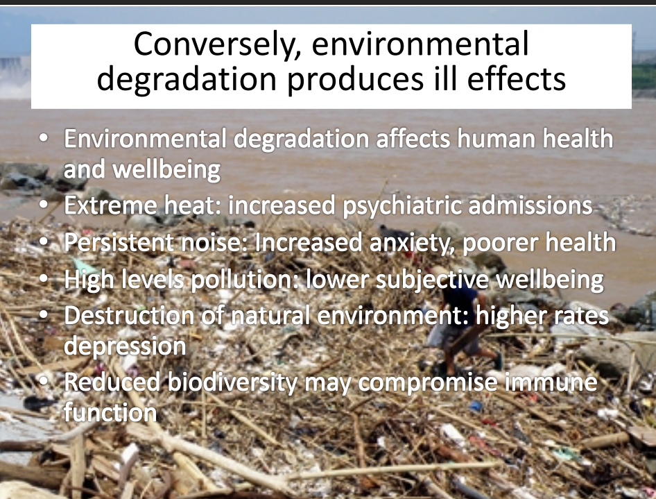 <p>Conversely, environmental degredation produces ill efects</p>