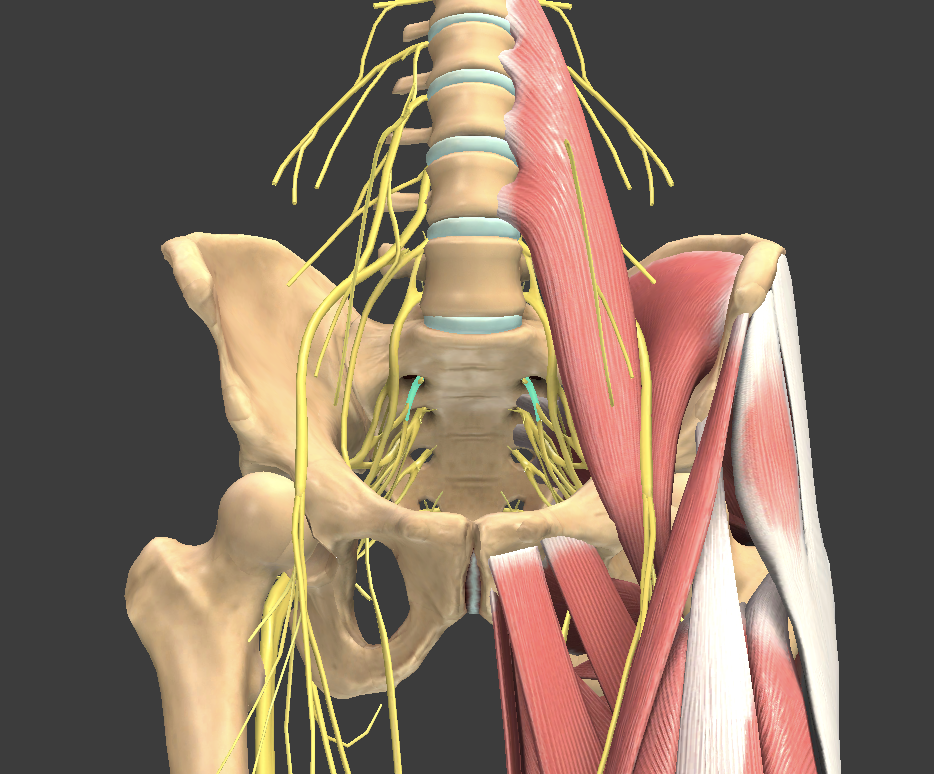<p>What structure is shown?</p>
