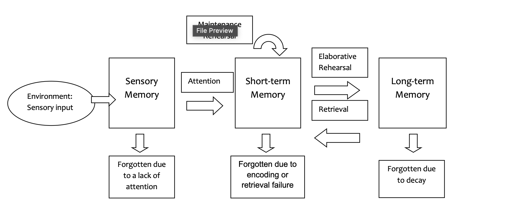 <p>theory that explains that memory can be defined as three distinguishable stages (sensory, short term, long term) through which information passes in a sequential way as it is processed. </p>