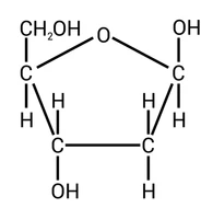 deoksyryboza