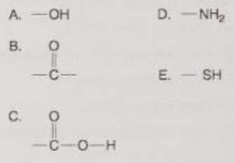 <p>Which is a carbonyl functional group?</p>