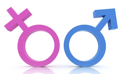 <p>gender</p>