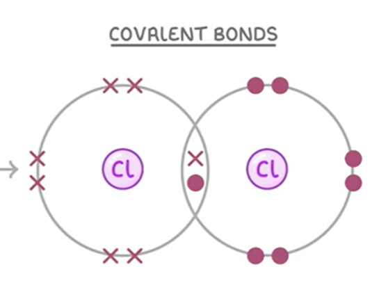 <ul><li><p>Halogens come in pairs </p></li><li><p>This is called diatomic molecules </p></li><li><p>It is where two of the same group 7 element form a covalent bond and share an electron to have a full outer shell. </p></li></ul><p></p>