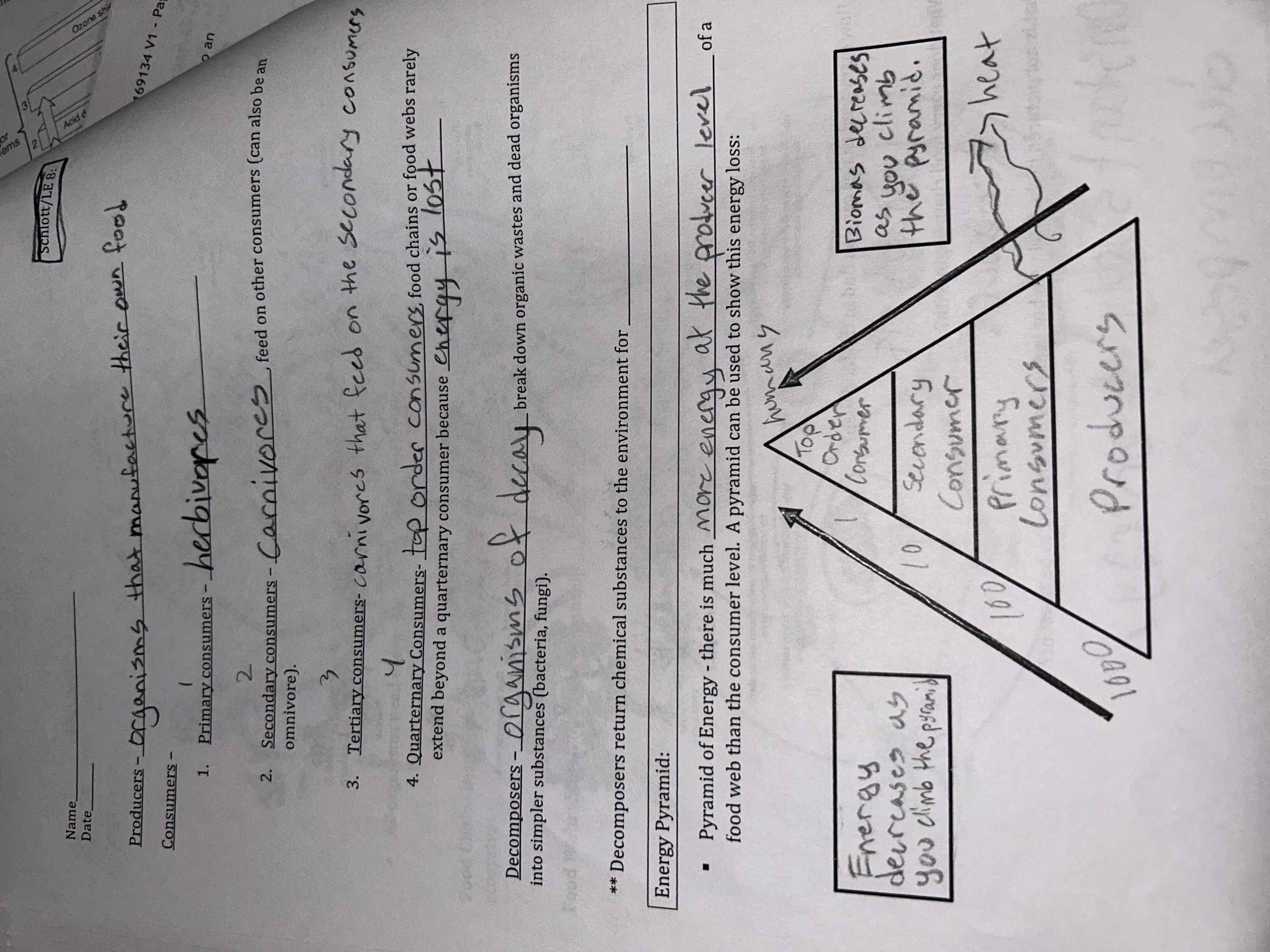 <p>Review the energy pyramid in the image</p>