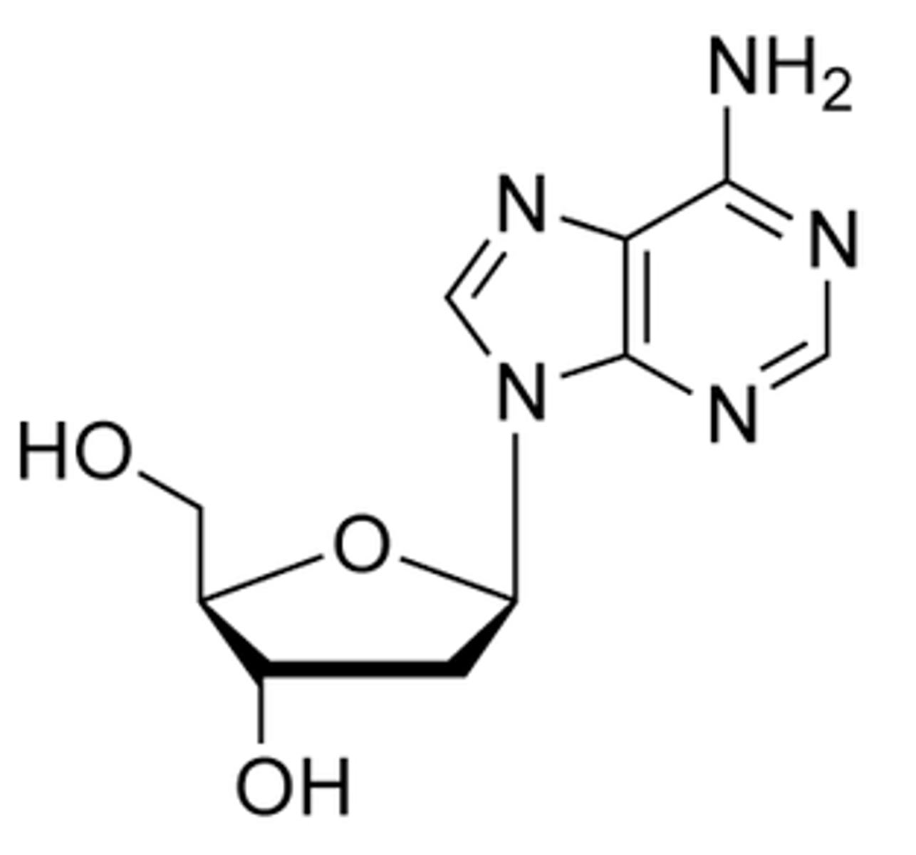 <p>nucleoside</p>