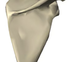 <p>right or left? </p>