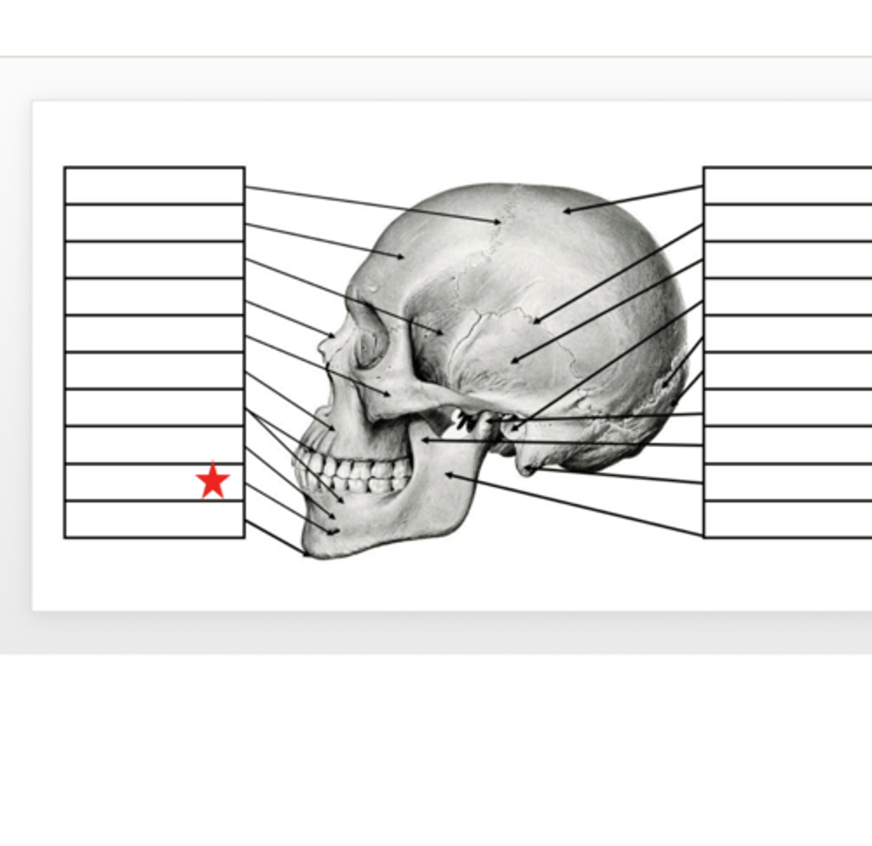 <p>What is this?</p>