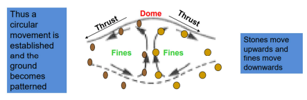 <p>Collective term to describe all soil movements due to frost action (repeated freezing and thawing) (also sometime called involutions)</p>