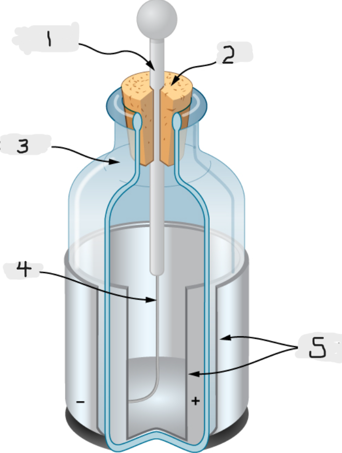 <p>(2)</p>