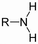 Name of functional group \= Amine
Suffix \= -anamine

e.g. Ethanamine
