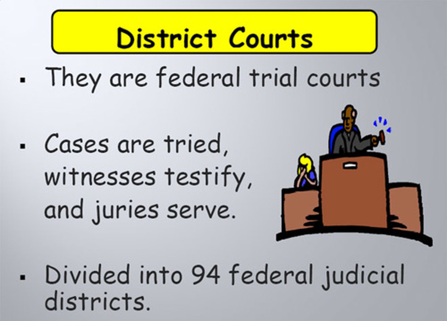<p>the lowest federal courts; federal trials can be held only here</p>