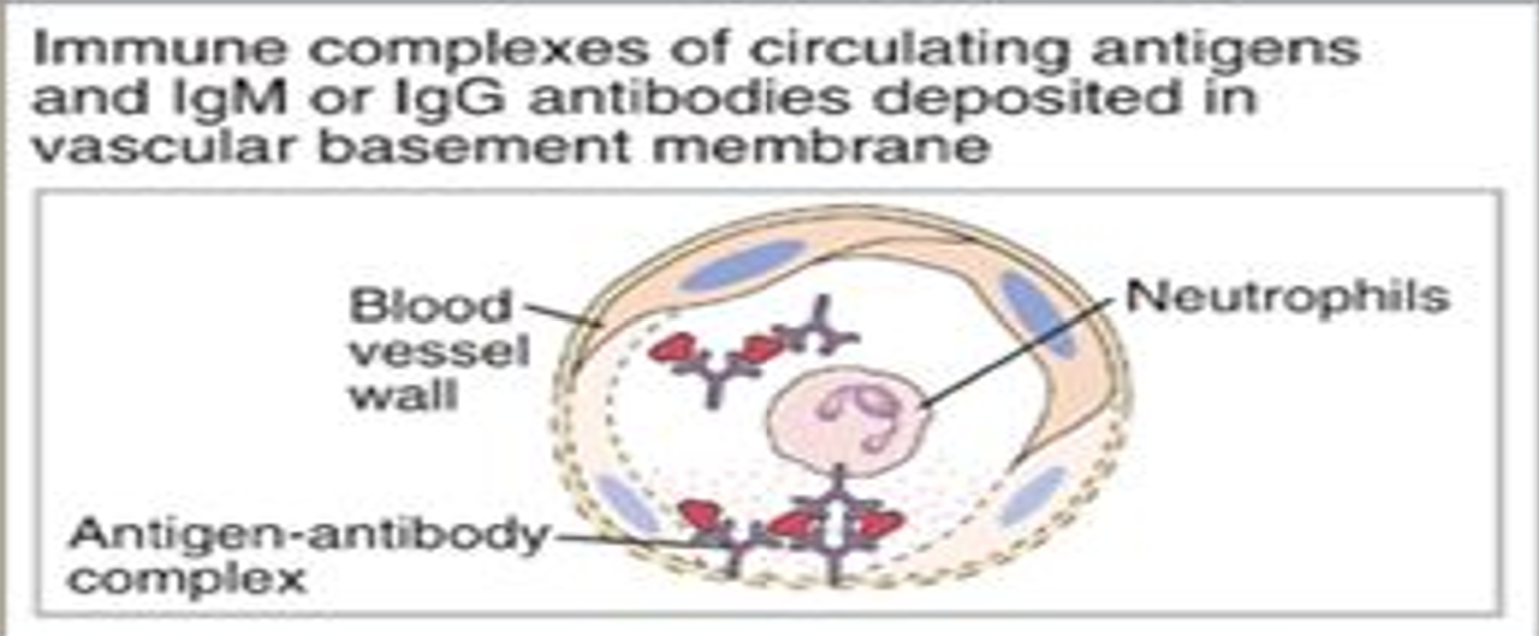 <ul><li><p>complement and Fc receptor mediated recruitment and activation of leukocytes</p></li></ul><p></p>