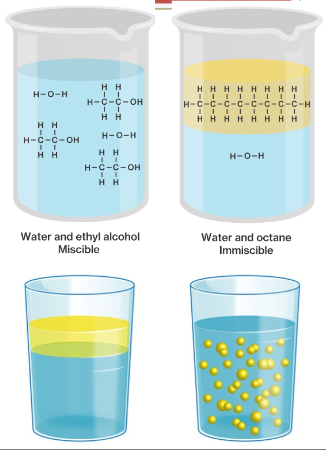 <ul><li><p>Liquids containing <u>Small Polar Molecules with Hydrogen Bonds</u> → dissolved <strong>completely</strong> in water, regardless of the quantity mixed.</p><ul><li><p><em>ethanol</em> will dissolve in water in any proportion with no max concentration!</p></li></ul></li></ul><hr><ul><li><p>Liquids that are insoluble in each other are <strong>Immiscible.</strong></p><ul><li><p><u>difference in density</u> → one liquid will form a layer on top of the other</p></li><li><p><u>similar densities</u> → one will emulsify in the other</p></li></ul></li></ul>