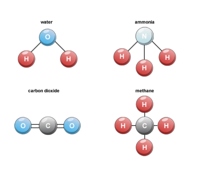 <p>centred around Carbon</p><p>• Carbon binds up to 4 other atoms</p><p>• Size and electronic structure is suited to generate large biological molecules</p>